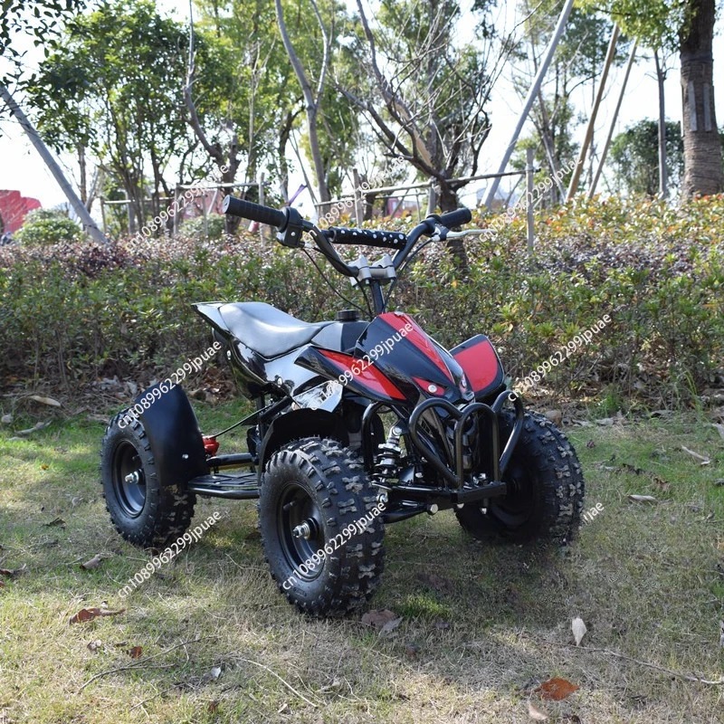 49cc 2-Stroke Mini Motorcycle  - Kids Outdoor Quad Bike review and price