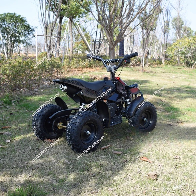 49cc 2-Stroke Mini Motorcycle  - Kids Outdoor Quad Bike review and price