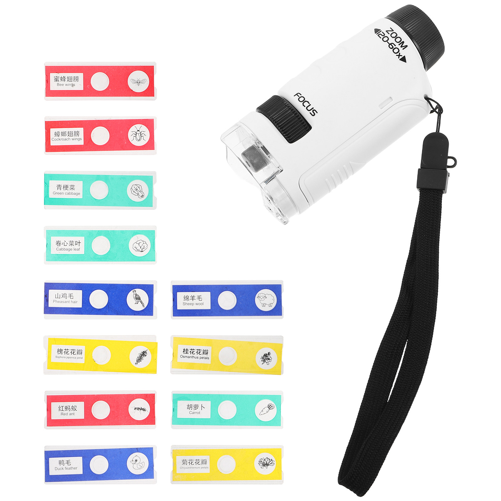 Kids Handheld Microscope Set P - Kids Outdoor Microscope review and price