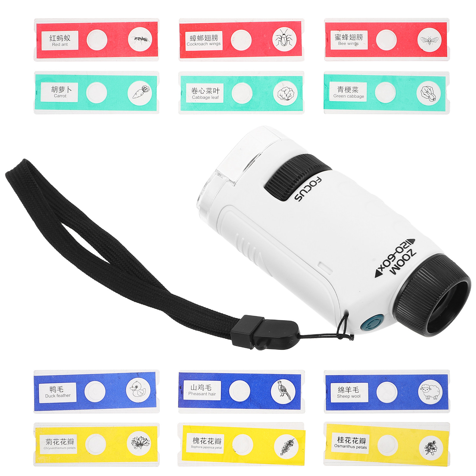 Kids Handheld Microscope Set P - Kids Outdoor Microscope review and price