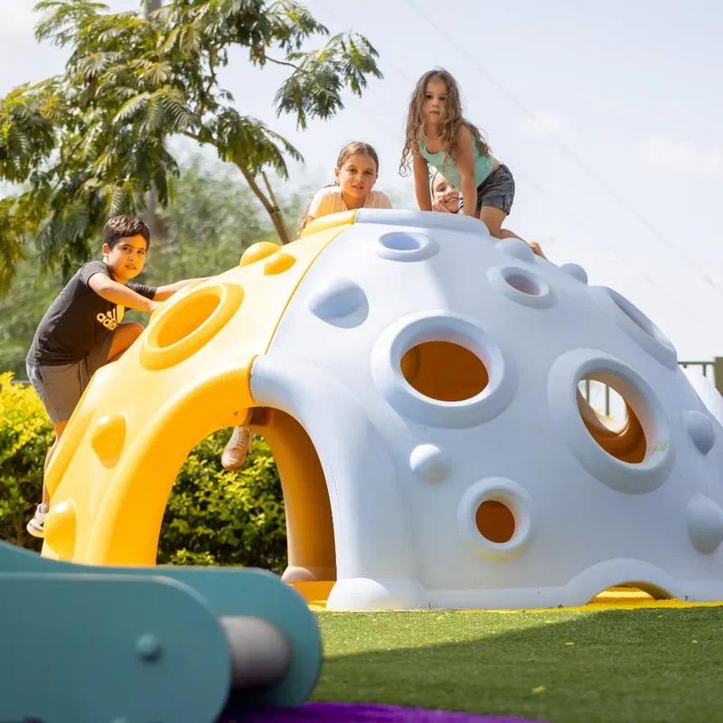 Colorful Modular Dome Climbers - Kids Outdoor Dome Climber review and price