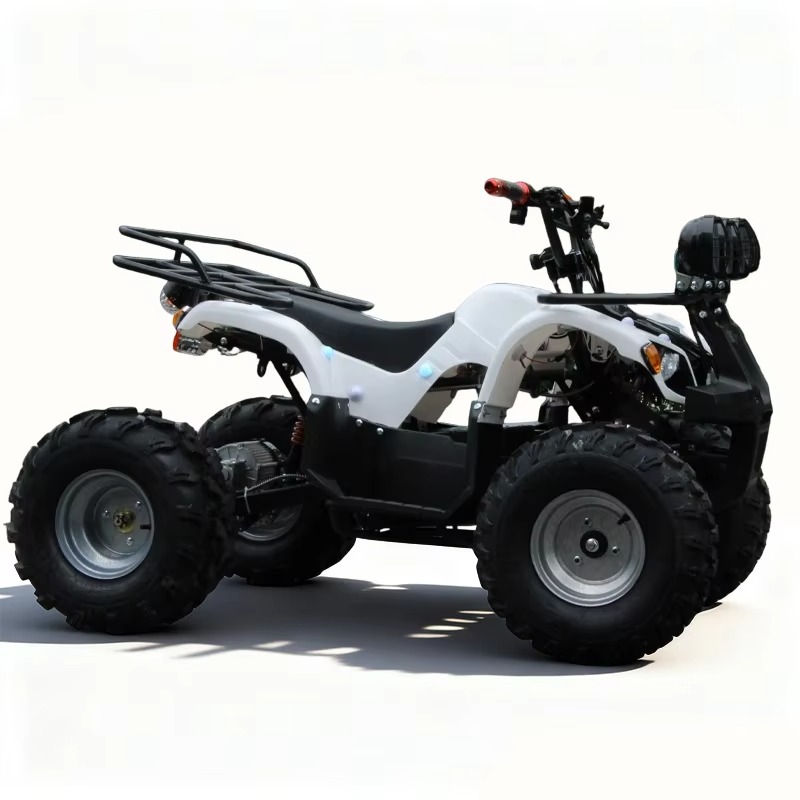 750W 48V Kids Electric ATV Qua - Kids Outdoor Quad Bike review and price