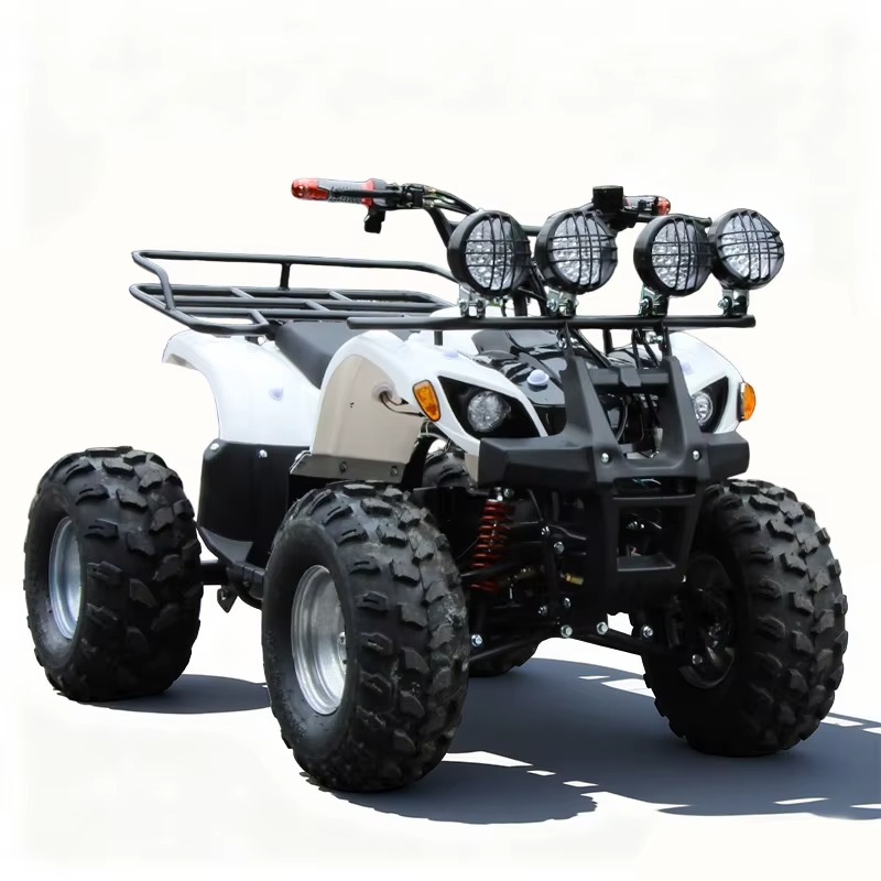 750W 48V Kids Electric ATV Qua - Kids Outdoor Quad Bike review and price