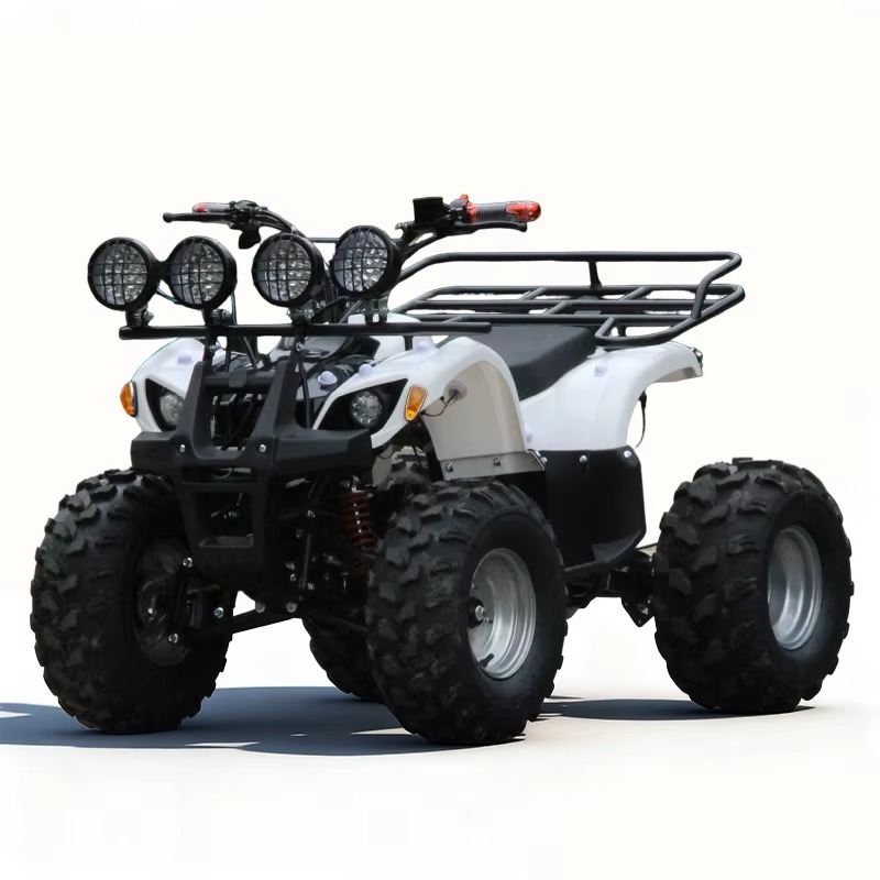 750W 48V Kids Electric ATV Qua - Kids Outdoor Quad Bike review and price