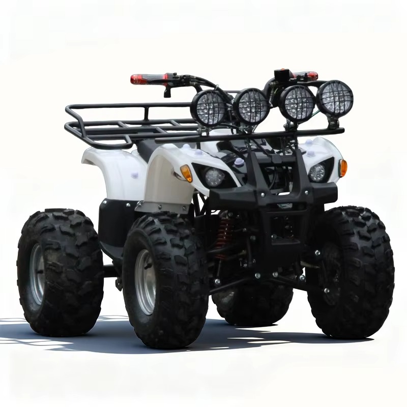 750W 48V Kids Electric ATV Qua - Kids Outdoor Quad Bike review and price