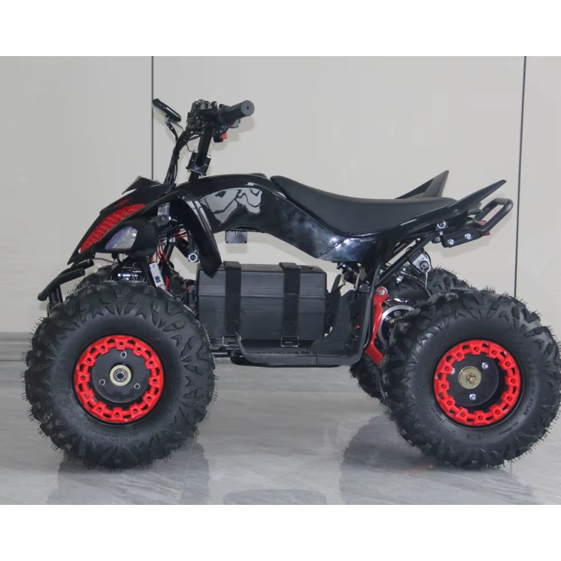 48V 1000W Electric Kids ATV 4  - Kids Outdoor Quad Bike review and price