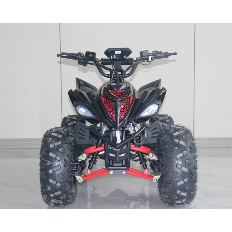 48V 1000W Electric Kids ATV 4  - Kids Outdoor Quad Bike review and price