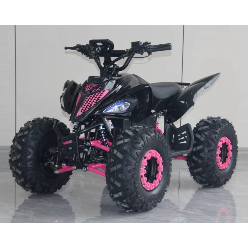 48V 1000W Electric Kids ATV 4  - Kids Outdoor Quad Bike review and price